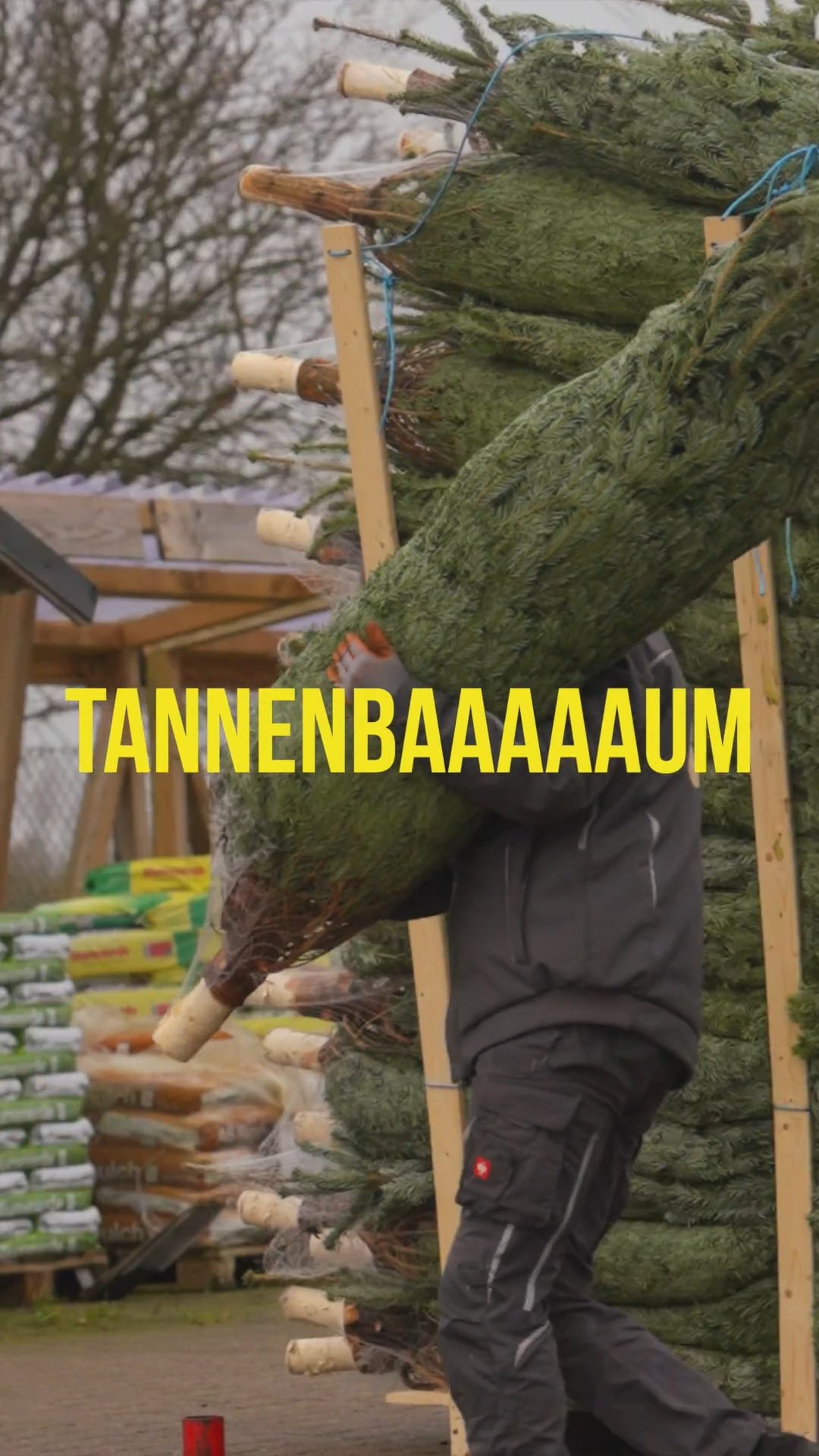Reel ansehen